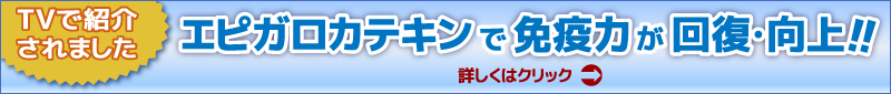 エピガロカテキンで免疫力が向上！