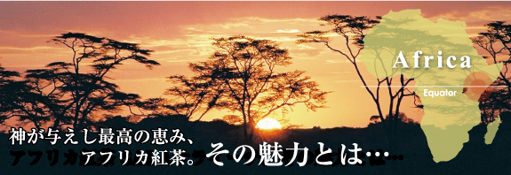 神が与えし最高の恵み、 アフリカ紅茶。その魅力とは…