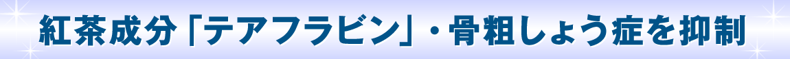 紅茶成分「テアフラビン」・骨粗しょう症を抑制