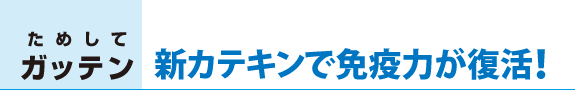 新カテキンで免疫力が復活！