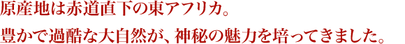 原産地は赤道直下の東アフリカ。豊かで過酷な大自然が、神秘の魅力を培ってきました。