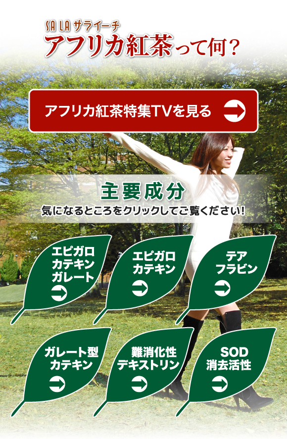 アフリカ紅茶って何？
